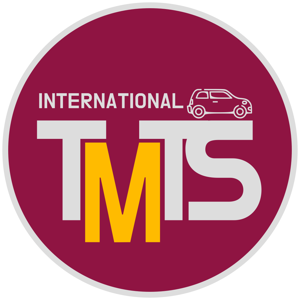 TMTS INTERNATIONAL LOGO